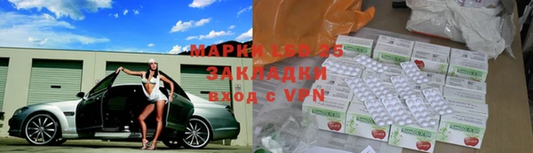 прущие грибы Магас