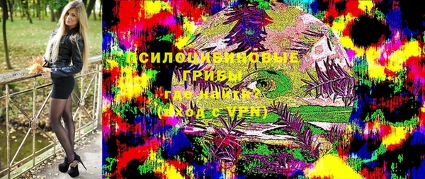 дживик Алзамай