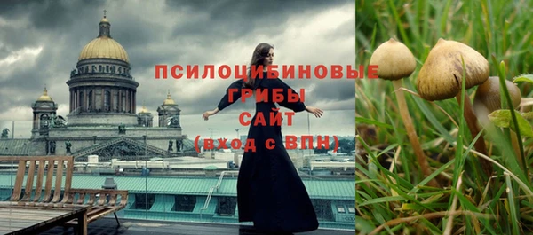 шишки Алексин