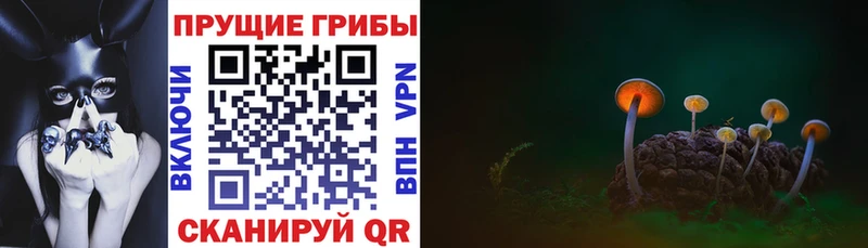 Галлюциногенные грибы MAGIC MUSHROOMS Змеиногорск