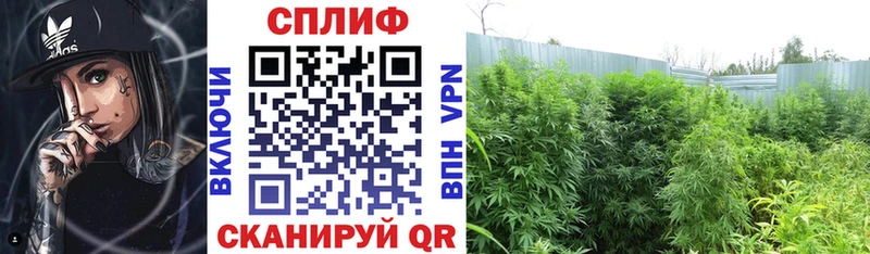Канабис VHQ Змеиногорск